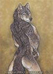  2001 anthro canine dark_natasha fur looking_at_viewer looking_back male mammal paws solo standing wolf 