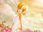  cagalli flowers mobile_suit_gundam_seed_destiny tagme 