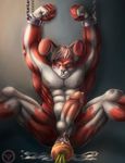  2016 abs anal anthro anus armpits balls bdsm biceps blood bondage bound chained cum dildo erection fur hair hi_res jaken_wolfy lagomorph male mammal muscular muscular_male nipples nude pecs penetration penis rabbit sex sex_toy simple_background solo spread_legs spreading violence 