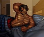  abs anthro armpits beard bed bedding bedroom biceps big_muscles black_hair black_nose boxers_(clothing) brown_fur clothed clothing dan_bluestone facial_hair fur green_eyes hair inside looking_at_viewer male mammal muscular muscular_male mustelid nipples on_bed otter pecs smile solo stonecircle topless underwear waking 