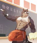  anthro big_penis bulge canine clothing male mammal muscular penis penis_outline shorts solo teacher tiger.a 