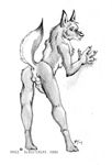  2004 anthro anus balls blackteagan butt canine knot male mammal penis solo 