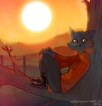  anthro black_fur boots cat clothed clothing emilie_marjarian feline female footwear frown fully_clothed fur in_tree looking_down mae_(nitw) mammal night_in_the_woods red_eyes solo sunset tree whiskers 