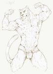  abs armpits biceps bulge feline flexing looking_at_viewer male mammal muscular muscular_male nipples penis pockyrumz simple_background solo text whiskers 