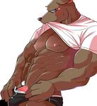  abs absurd_res anthro blush canine clothed clothing colored hi_res male mammal mayar muscular pecs simple_background solo underwear undressing white_background 