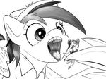  2016 clothed clothing daring_do_(mlp) duo equine feathered_wings feathers female feral friendship_is_magic greyscale hat human imminent_vore macro mammal micro monochrome my_little_pony open_mouth pegasus ponythroat saliva teeth tongue tongue_out vore wings 