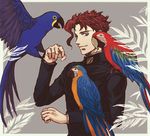  animal animal_on_arm animal_on_hand animal_on_shoulder bird bird_on_arm bird_on_hand bird_on_shoulder gakuran jojo_no_kimyou_na_bouken kakyouin_noriaki male_focus parrot plant red_hair school_uniform solo upper_body uraseesan 