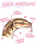  &lt;3 ambiguous_gender anatomy animated blush cute english_text feral forked_tongue no_sound reptile scalie simple_background snake snek solo text tongue tongue_out unknown_artist white_background 