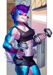  5_fingers anthro black_lips blue_eyes blue_fur blue_hair clothed clothing eyelashes female fur hair looking_at_viewer mammal midriff muscular muscular_female navel pink_nose purple_hair smile standing teeth vagabondbastard 