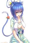 :d animal_ears bangs blue_eyes blue_hair borushichi breasts cat_ears cat_tail collarbone dress eyebrows eyebrows_visible_through_hair eyelashes fang flower flower_request frills from_above hair_between_eyes hair_ornament hair_rings hair_stick highres kaku_seiga kemonomimi_mode looking_at_viewer medium_breasts open_mouth red_flower sash shawl short_sleeves simple_background sitting smile solo tail tail_flower tail_ornament touhou vest white_background white_flower 