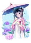  1girl :o black_eyes black_hair blue_background border bow chinese_clothes cowboy_shot dress_bow flower hair_bow hair_rings hanfu holding holding_umbrella hydrangea leaf long_hair long_sleeves looking_at_viewer moekon oil-paper_umbrella original parted_lips pink_bow purple_bow purple_flower purple_sleeves rain robe single_sidelock standing tassel umbrella water_drop white_border white_robe 