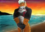 anthro beach clothed clothing crossdressing fate_(series) felid fongu male mammal muscular pantherine seaside shy solo sunset tiger type-moon