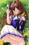  1girl absurdres animal_ears ass blush bow breasts brown_hair commentary_request dandelion ear_ornament feet_out_of_frame flower grass_wonder_(umamusume) hands_on_own_face highres horse_ears horse_girl long_hair looking_at_viewer medium_breasts mouth_hold multicolored_hair on_grass on_ground panties puffy_short_sleeves puffy_sleeves purple_bow purple_shirt sailor_collar school_uniform shirt short_sleeves solo streaked_hair summer_uniform tabunshake tracen_school_uniform umamusume underwear upper_body waving white_hair yellow_panties 