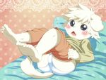  anthro bed bed_sheet bedding blue_eyes blush briefs bulge butt canine clothed clothing cub cute dog fur getting_dressed long_sleeve lying male mammal on_back on_bed open_mouth panashe pants_down partially_clothed pillow shorts solo underwear white_fur young とろろうどん 