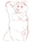2024 anthro balls belly canid canine flaccid genitals hi_res high_rhulain male mammal moobs overweight overweight_male penis raccoon_dog simple_background sketch small_penis solo tanuki white_background