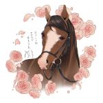  akiyama1107 bridle camellia commentary flower flower_border highres horse melody_lane_(racehorse) no_humans real_life reins titleholder_(racehorse) translated white_background 