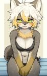 2024 ahoge anthro bikini breasts canid canine canis cleavage clothed clothing digital_media_(artwork) domestic_dog female female_anthro fur green_eyes grey_body grey_fur hair hi_res kemono kuromu looking_at_viewer mammal multicolored_body multicolored_fur multicolored_hair navel shiba_inu short_hair solo spitz swimwear tail tan_body tan_fur tan_hair wet wet_body wet_fur white_body white_fur white_hair