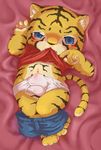  blue_eyes blush briefs bulge clothed clothing clothing_lift cub cute feline half-closed_eyes mammal moketiw pants_down partially_clothed shirt shirt_lift solo tiger underwear young 