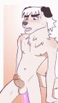 animated anthro bodily_fluids canid canine canis cum dildo dildo_insertion domestic_dog genital_fluids hi_res invalid_tag male mammal mort3l nsfw sex_toy sex_toy_insertion solo suboshi