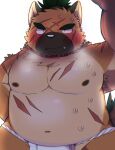 anthro aroenikuniku asian_clothing belly blush bodily_fluids brown_body brown_fur canid canine canis clothing domestic_dog east_asian_clothing eyebrows fundoshi fur hi_res japanese_clothing lifewonders male mammal musclegut muscular musk musk_clouds navel nipples pecs scar solo sweat thick_eyebrows tokyo_afterschool_summoners underwear yasuyori_(tas)