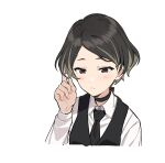  1girl black_choker black_hair black_necktie black_vest blush brown_eyes choker closed_mouth collared_shirt highres long_sleeves multicolored_hair necktie project:anemone shirt short_hair simple_background solo teshima_nari two-tone_hair upper_body vest white_background 