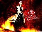  bleach ichimaru_gin tagme 