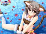  animal_ears catgirl ellyeir_pulp jpeg_artifacts judgement_chime navel nishimata_aoi tail 