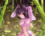 animal_ears bad_id bad_pixiv_id bamboo bamboo_forest black_hair bunny_ears bunny_tail forest inaba_tewi kobanzame looking_back nature red_eyes shade short_hair solo tail touhou 