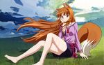  animal_ears arakawa_megumi barefoot brown_hair cloud day feet grass highres holo long_hair outdoors red_eyes sky smile solo spice_and_wolf tail wallpaper wolf_ears 