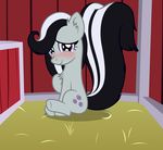  2016 alternate_species badumsquish blush equine female friendship_is_magic horse hybrid mammal marble_pie_(mlp) my_little_pony pony shy sitting skunk solo 