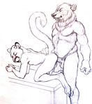 all_fours anal anal_penetration anthro bear cougar duo eyes_closed feline from_behind_position interspecies kneeling male male/male mammal penetration seskata sex 