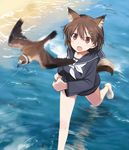  animal animal_ears bird blurry brave_witches brown_eyes brown_hair day depth_of_field hair_ornament hairclip jpeg_artifacts karibuchi_hikari open_mouth outdoors plover_(animal) running school_uniform serafuku shimada_fumikane shoes short_hair tail water world_witches_series 