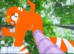  animated female low_res sex sonic_(series) tikal_the_echidna 