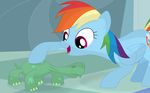  friendship_is_magic green_skin hair multicolored_hair my_little_pony nude petting porygon2z rainbow_dash_(mlp) reptile scalie shell-less tank_(mlp) tortoise turtle 