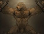  anthro armpits balls bdsm bear blood bondage bound brown_fur forge_(artist) fur hi_res male mammal muscular muscular_male open_mouth penis pubes solo spread_arms spread_legs spreading teeth thick_penis uncut wounded 