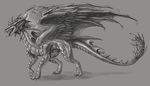  aaros_(artist) claws dragon feral greyscale horn male membranous_wings monochrome open_mouth simple_background solo standing teeth tongue wings 