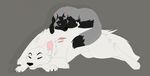  2016 arkiea_(darfix) avalae_(darfix) avalon_(darfix) black_fur canine female feral fox fur green_eyes grey_background grey_fur grey_wolf maizey male mammal red_fox scar simple_background size_difference sleeping white_fur wolf 