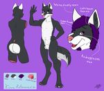  2016 animal_genitalia anthro armpits balls black_fur butt canine cute digital_media_(artwork) english_text fluffy fluffy_tail fur hair hairclip hand_on_hip hi_res kijuro looking_at_viewer male mammal mitchi model_sheet multicolored_fur nude open_mouth pink_nose purple_eyes sheath simple_background smile solo standing teeth text tongue waving white_ears white_fur wolf 