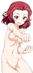  girls_und_panzer kurashima_tomoyasu naked nipples photoshop pussy rosehip tagme uncensored 