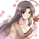  ahoge artist_name autumn_leaves bare_shoulders breasts brown_eyes brown_hair cleavage collarbone commentary_request eyebrows eyebrows_visible_through_hair falling_leaves hair_intakes highres holding holding_leaf kantai_collection leaf long_hair looking_at_viewer medium_breasts sarashi shouhou_(kantai_collection) smile solo the-sinner upper_body white_background 