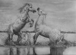  2016 ambiguous_gender bra1neater duo equine feral fight fur hair horse mammal monochrome outside reflection sketch sky traditional_media_(artwork) water wet wet_fur 