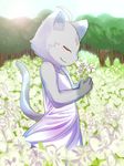  anthro cat clothed clothing crossdressing cub cute detailed_background dress eyes_closed feline flower fur grey_fur holding_flower holding_object male mammal plant solo sun tree young 典藏haodai 