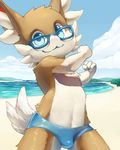  beach blue_eyes brown_fur bulge canine clothed clothing cloud cub cute eyewear fox fur glasses looking_at_viewer male mammal sand seaside shadow sky solo speedo swimsuit topless white_fur young 典藏haodai 