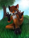  3_toes 4_fingers anthro armpits black_nose blue_eyes brown_hair canine day fox fur grass hair mammal open_mouth orange_fur outside sitting smile thanshuhai toes tree 