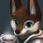  anthro beverage black_nose brown_fur brown_hair canine clothing coffee fox fur green_eyes hair holding_object looking_at_viewer male mammal simple_background thanshuhai white_fur 
