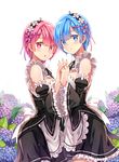  apron black_ribbon blue_eyes blue_hair blush day detached_sleeves diten field flower flower_field frilled_sleeves frills hair_ornament hair_over_one_eye hair_ribbon holding_hands looking_at_viewer maid maid_headdress multiple_girls outdoors pink_eyes pink_hair pink_ribbon purple_ribbon ram_(re:zero) re:zero_kara_hajimeru_isekai_seikatsu rem_(re:zero) ribbon ribbon_trim short_hair siblings sisters twins underbust x_hair_ornament 