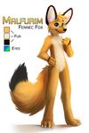  4_toes 5_fingers anthro black_fur black_lips black_nose blue_eyes canine fennec fox fur green_eyes mammal model_sheet nude simple_background standing thanshuhai toes white_background white_fur yellow_fur 