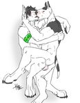  2012 4_toes anthro balls bandanna bigmaster black_fur black_hair black_nose black_tail blush bull_terrier cairo_(bigmaster) canine claws digital_media_(artwork) dog duo embrace eyes_closed fur hair intimate kihu kissing male male/male mammal multicolored_fur nude peable signature simple_background toe_claws toes two_tone_fur two_tone_tail white_background white_balls white_fur white_tail 