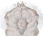  &lt;3 2014 abs biceps big_biceps black_nose brown_fur canine clothing dialogue digital_drawing_(artwork) digital_media_(artwork) english_text eyes_closed front_view fur grey_fur hyper hyper_muscles light mammal multicolored_fur muscular navel open_mouth open_smile pecs schwartzgeist shaded sharp_teeth shorts simple_background sitting smile snout teeth text triceps two_tone_fur white_background wolf 