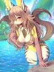  2016 amber_eyes anthro blush bra breasts brown_hair canine clothing cute female grass hair looking_at_viewer mammal nipples smile solo underwear water white-castle 